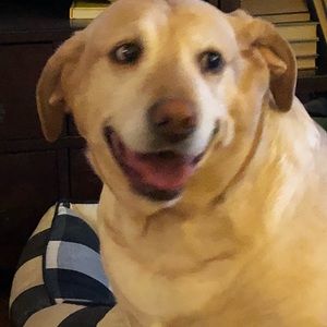 Meet your Posher, Wini